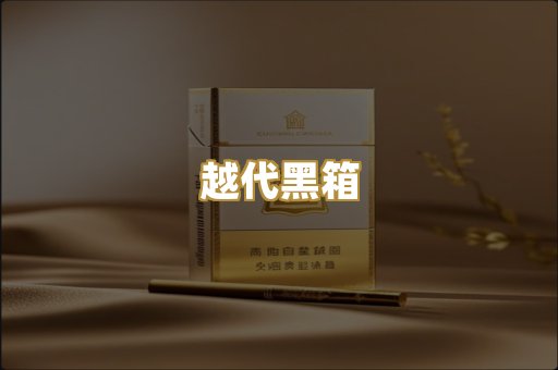 越代黑箱
